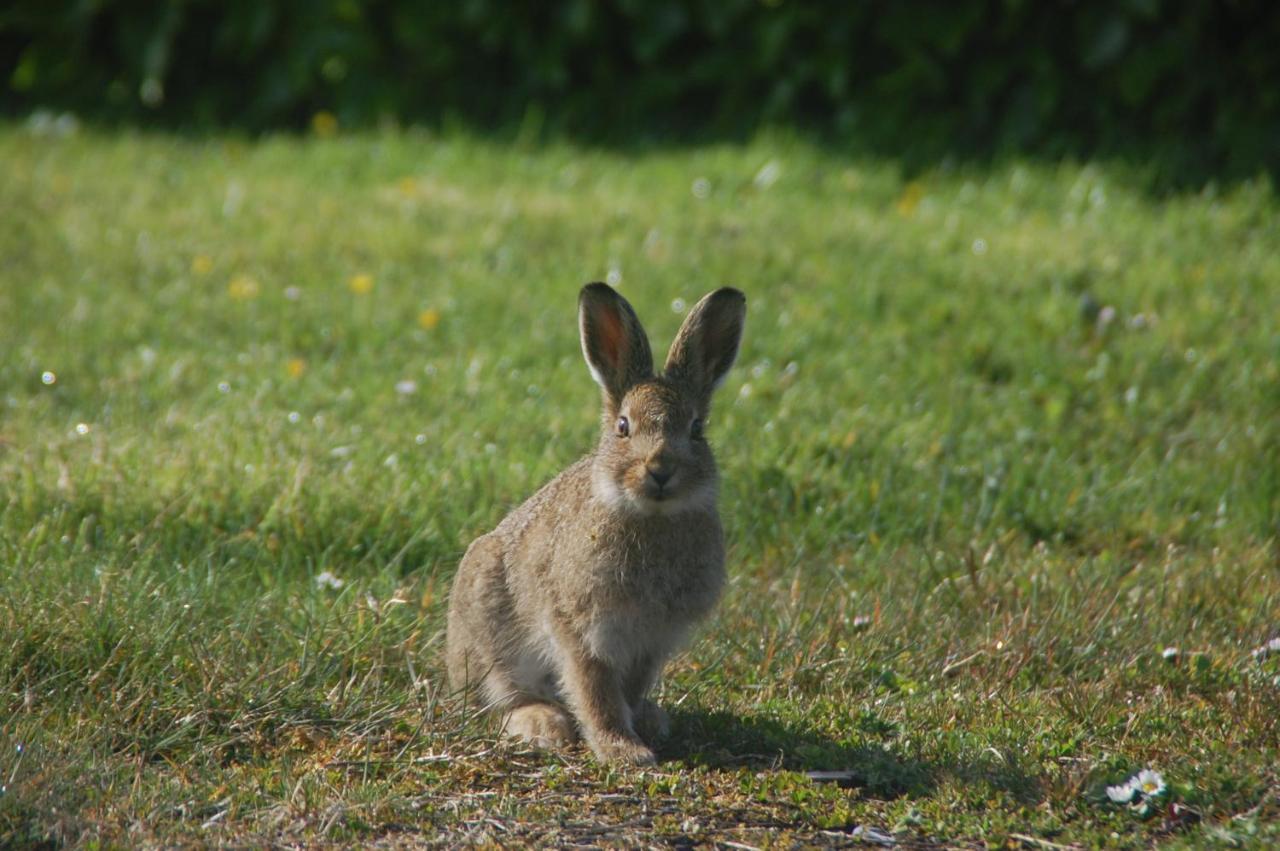 Slieve Elva B&B ลิสดูนวาร์นา ภายนอก รูปภาพ