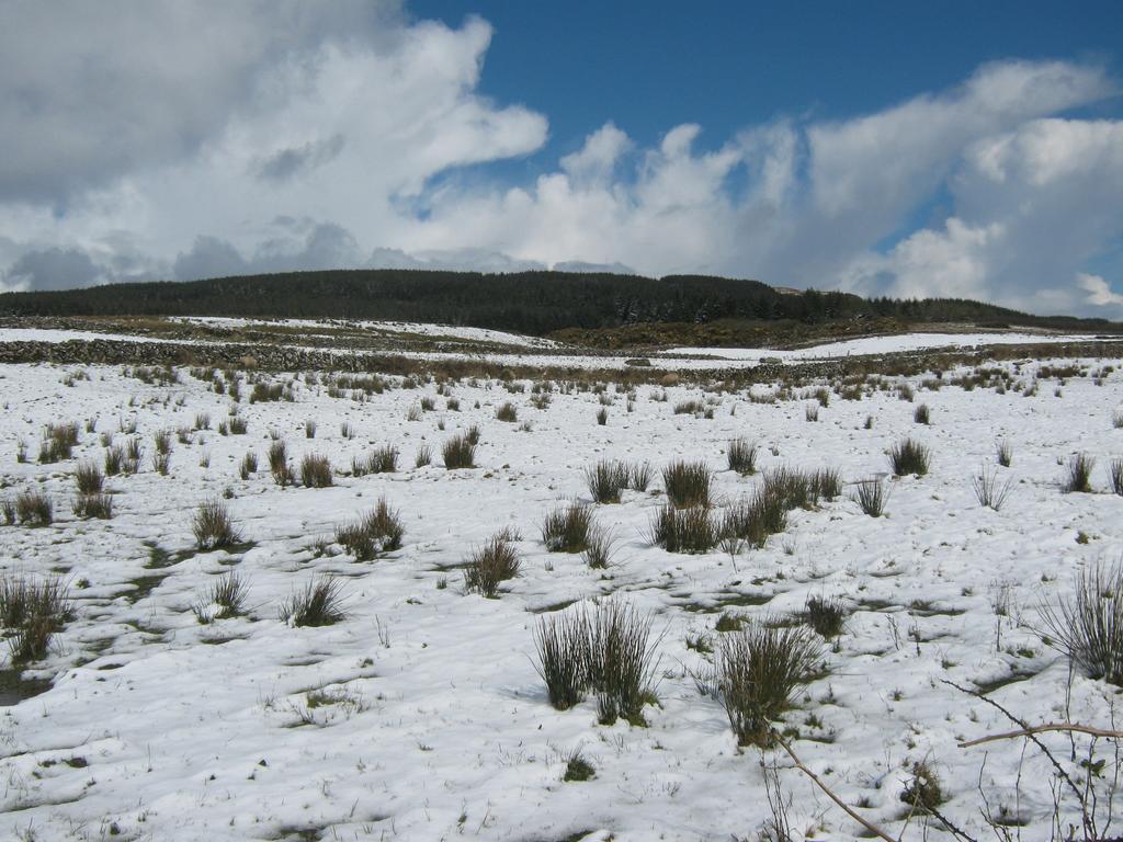 Slieve Elva B&B ลิสดูนวาร์นา ภายนอก รูปภาพ